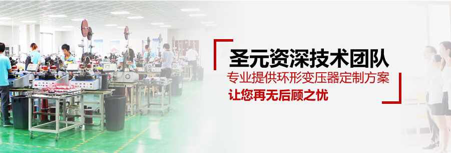 圣元變壓器技術(shù)團隊